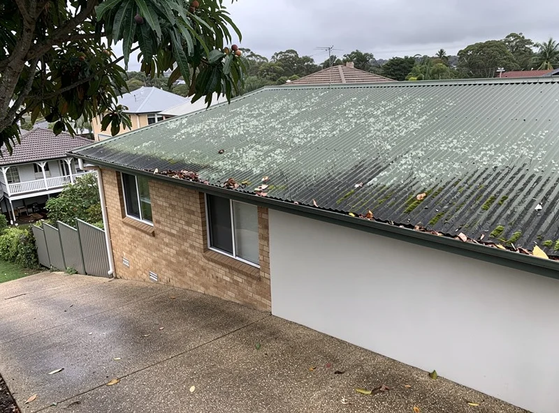 Bardon Colorbond roof with heavy lichen patches and dark streaking