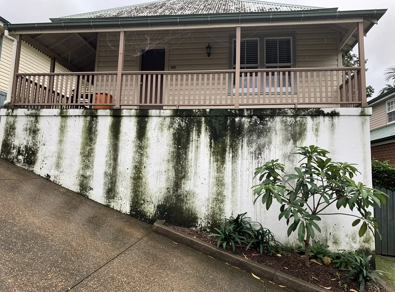 Paddington Queenslander with heavy green and black mould staining on the rendered south side