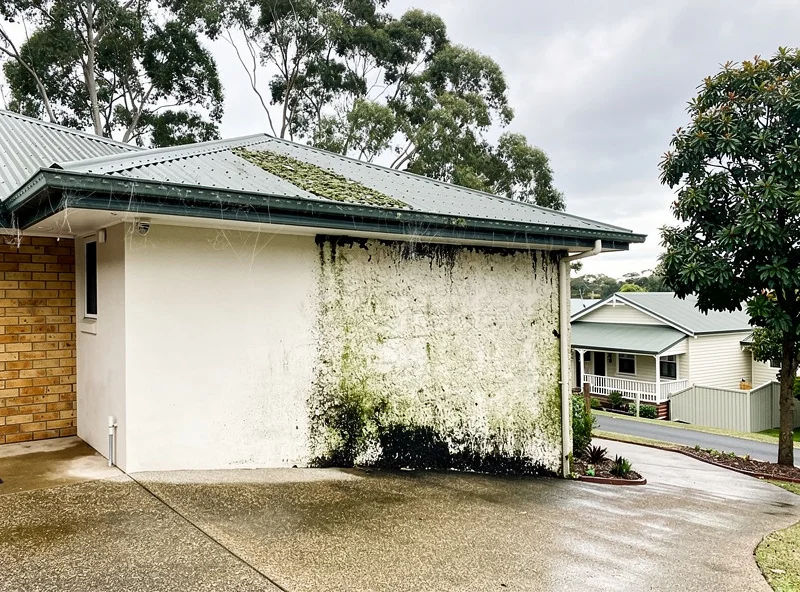 Two-storey rendered house in The Gap with heavy green mould and black streaking